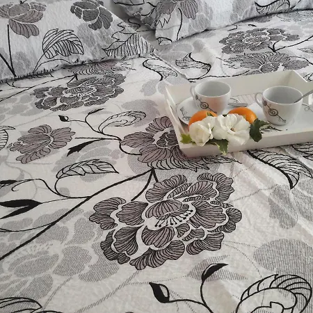 Danijela I * פולה